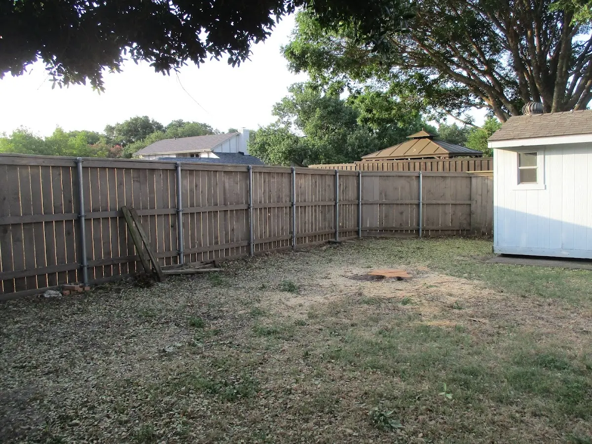 Cleared yard after professional tree removal in Beckemeyer